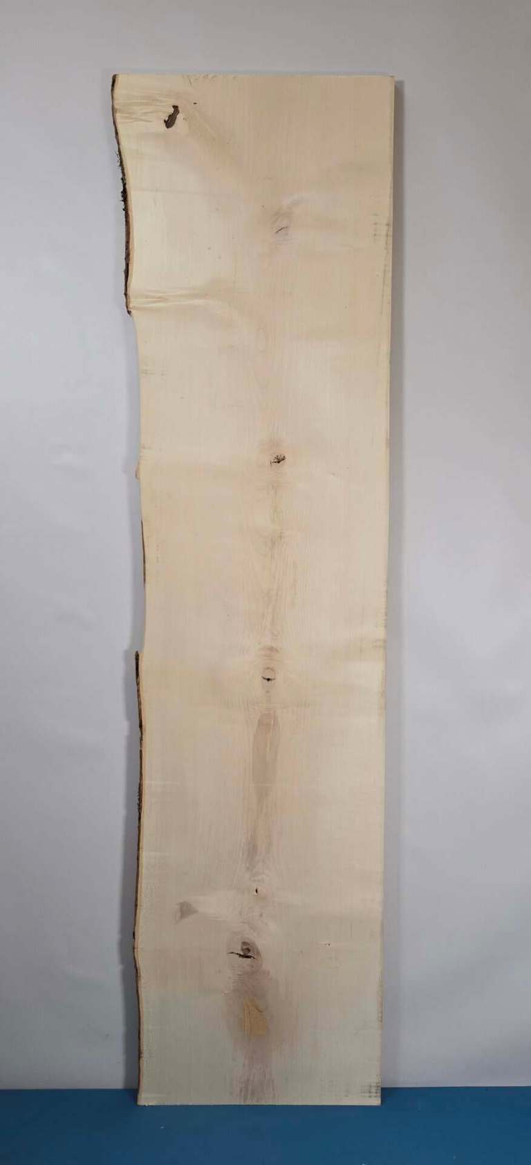 Natural edge Sycamore Wood