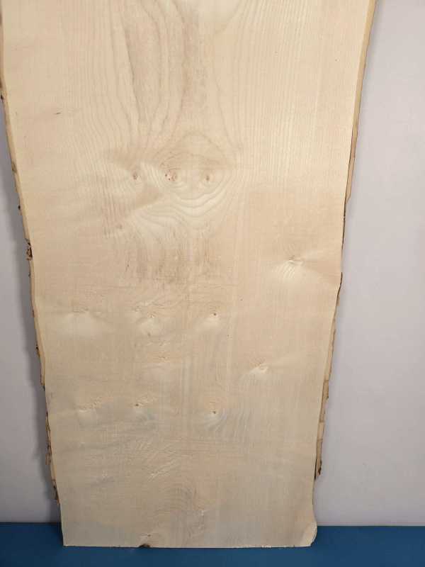 Double live edge Sycamore