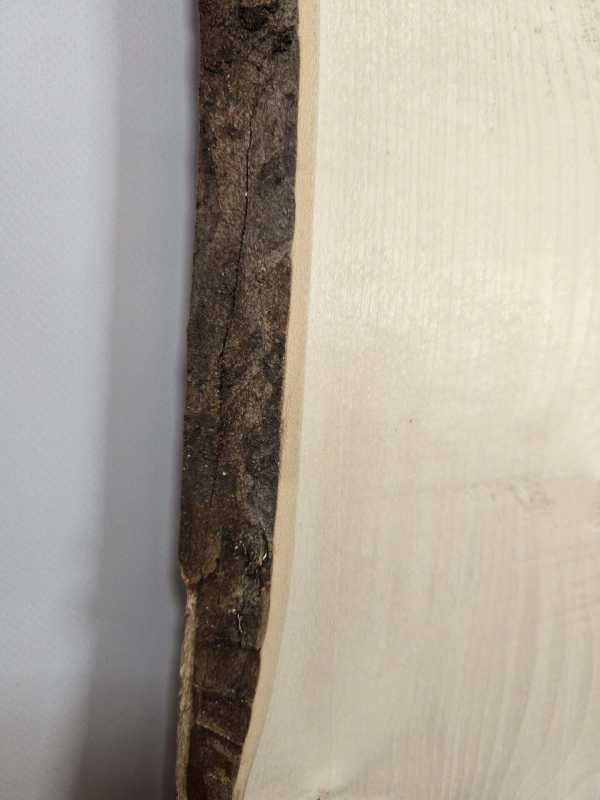 Double live edge Sycamore