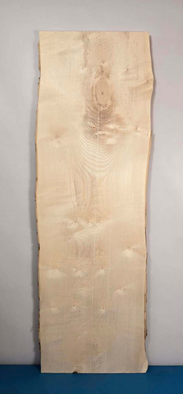 Double live edge Sycamore