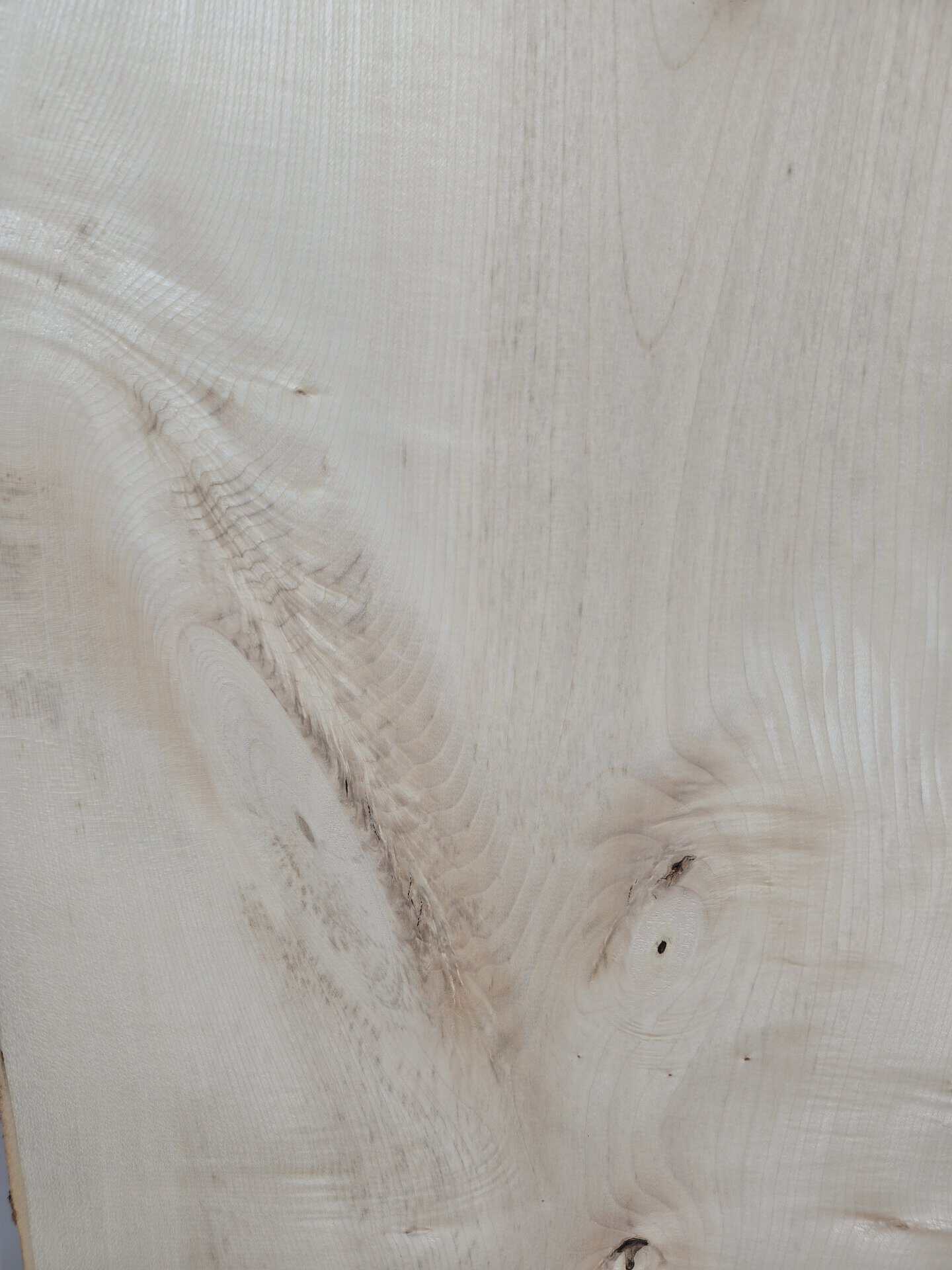 Live edge Sycamore Slab - Image 10