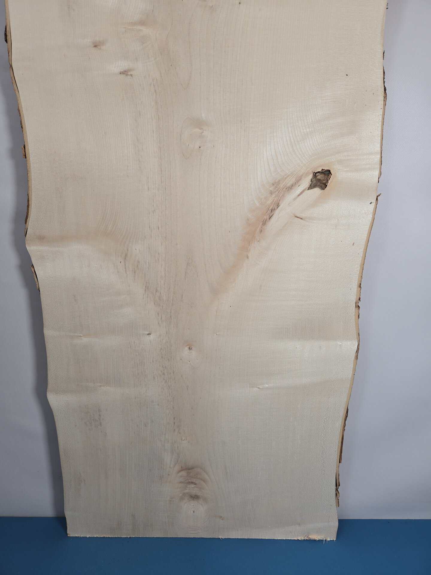 Live edge Sycamore Slab - Image 12
