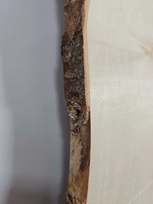 Live edge Sycamore Slab