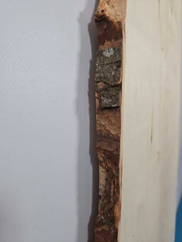 Rippled Sycamore board