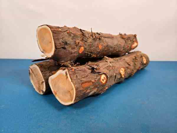 Natural Yew Branch Wood x3