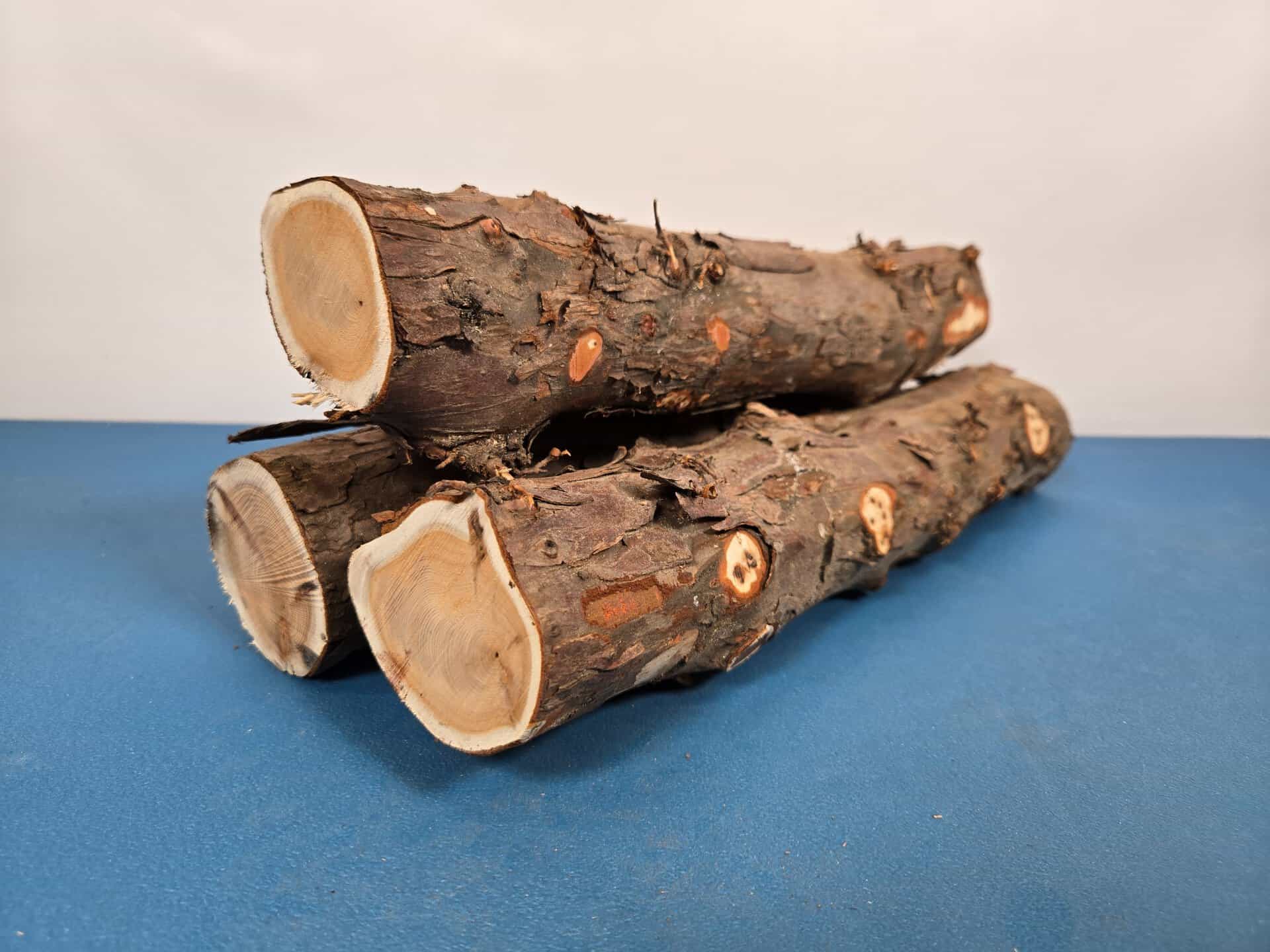 Natural Yew Branch Wood x3