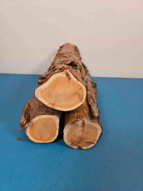 Natural Yew Branch Wood x3
