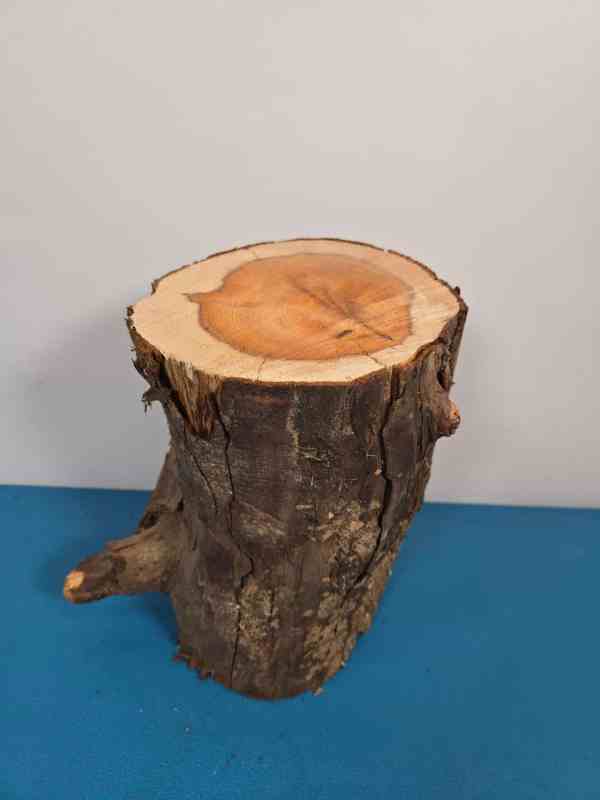 Yew Stump Carving blank