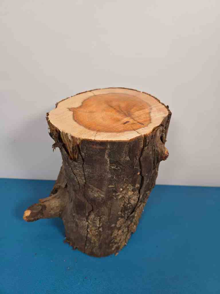 Yew Stump Carving blank