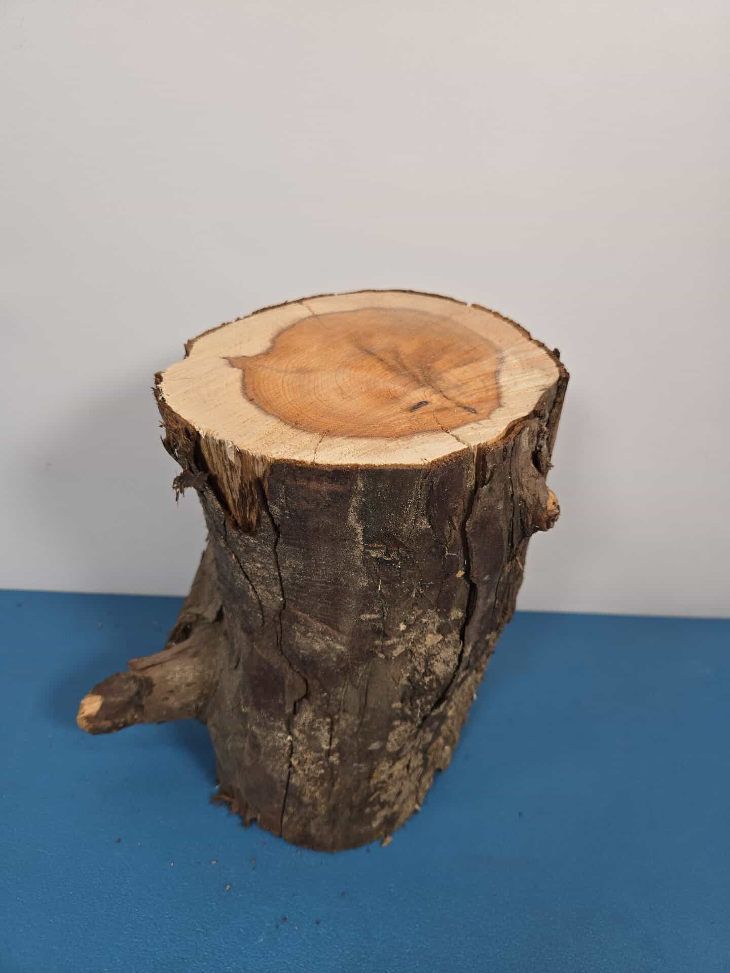 Yew Stump Carving blank