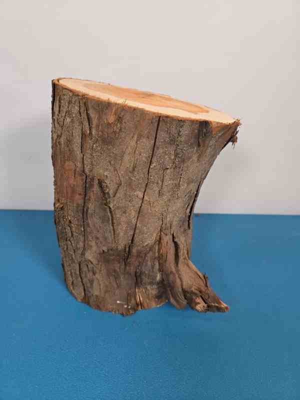 Yew Stump Carving blank