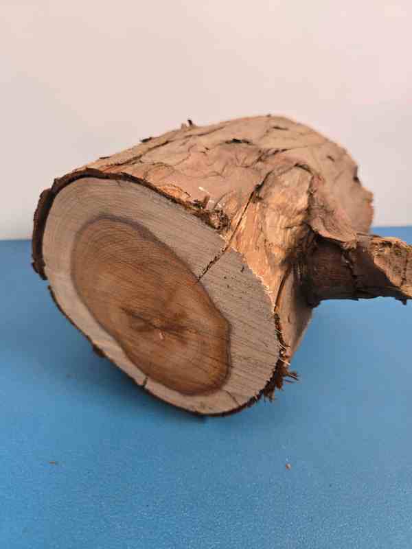 Yew Stump Carving blank