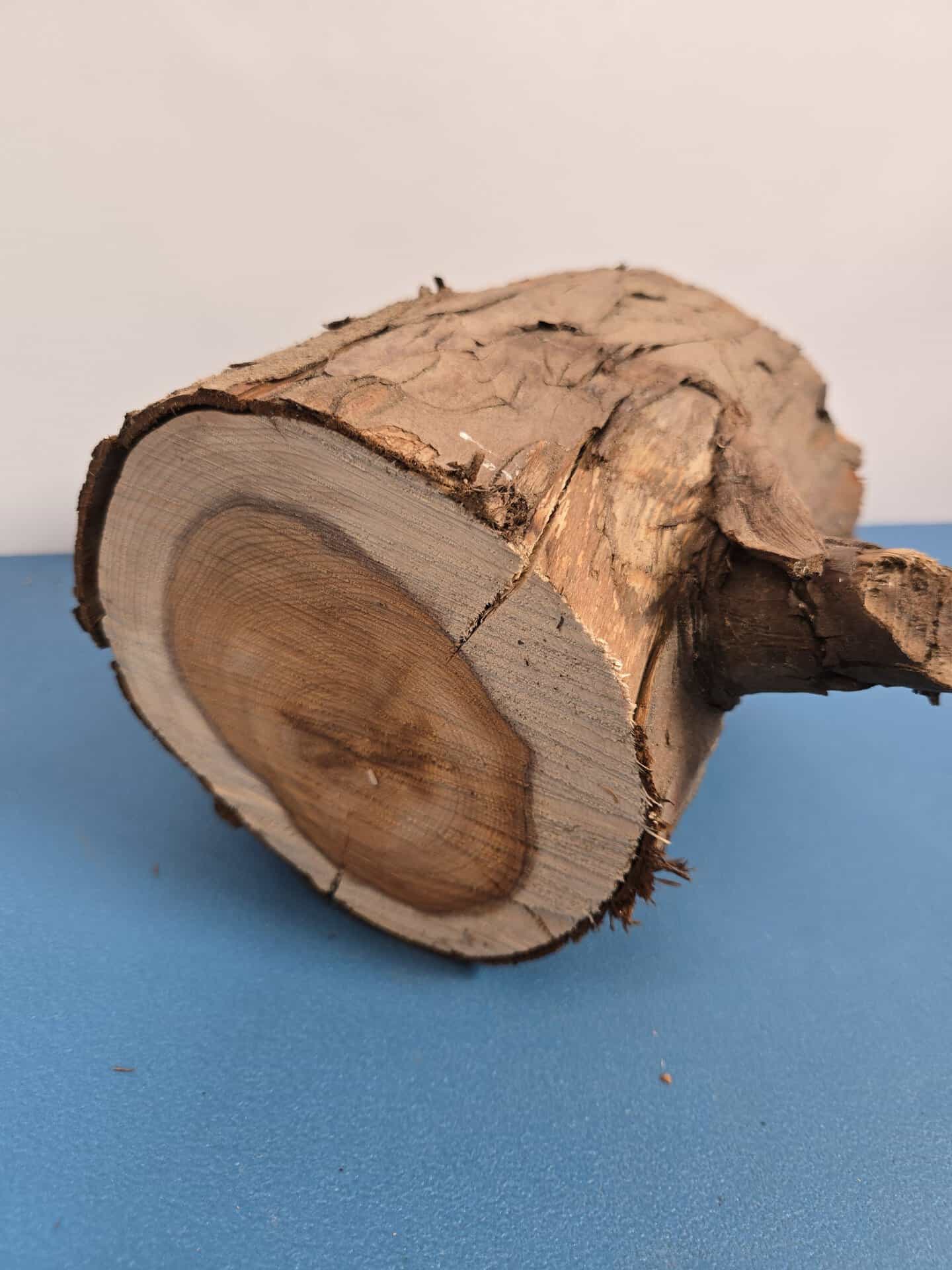 Yew Stump Carving blank - Image 4