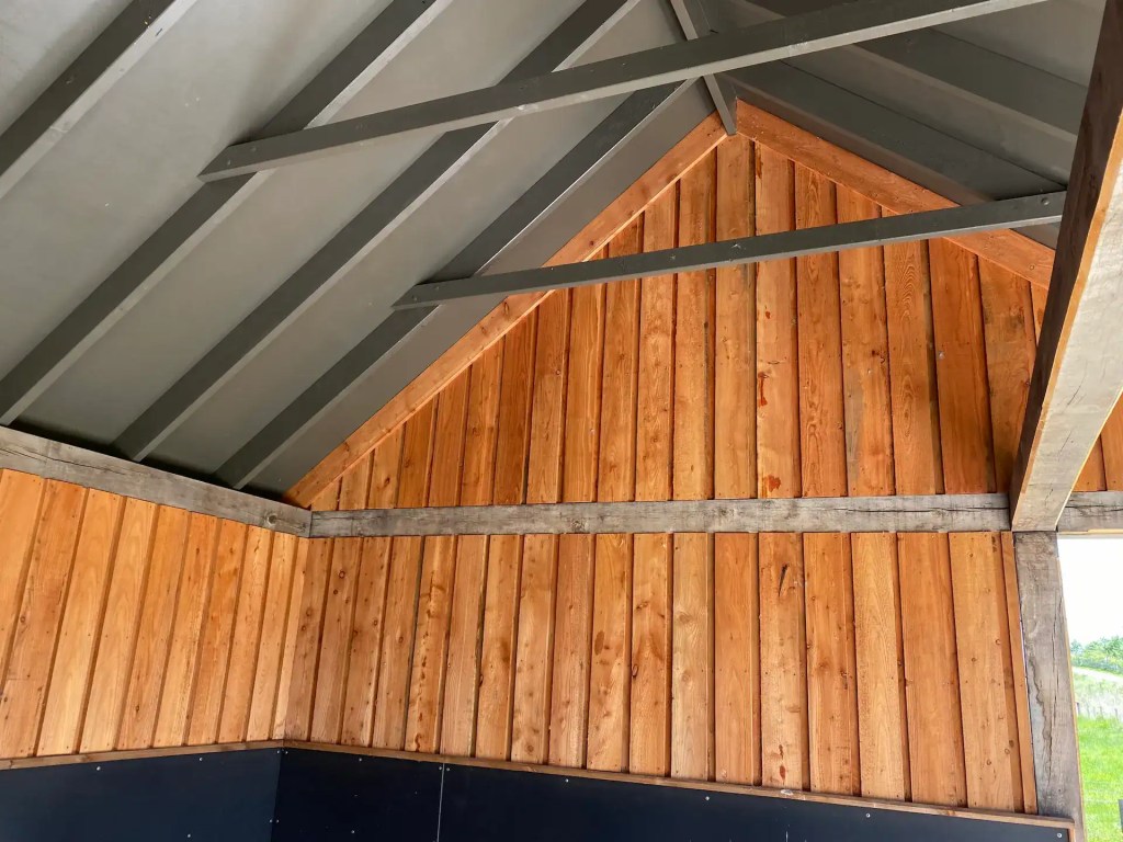Interior of shed with board on board larch cladding which has kept its original colour