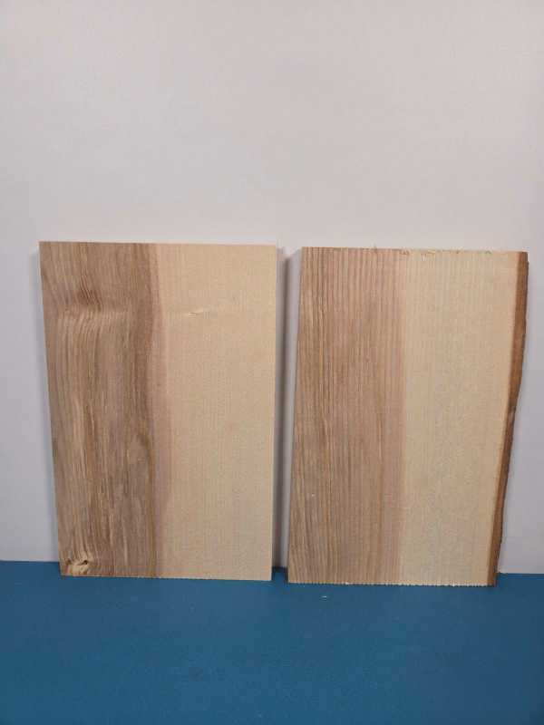 x2 Ash Offcuts