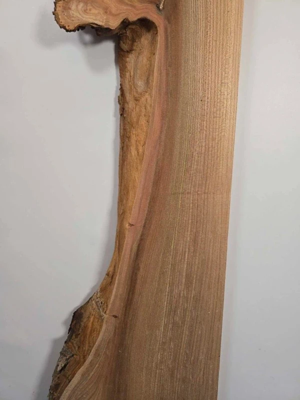 Burr edge Elm offcut