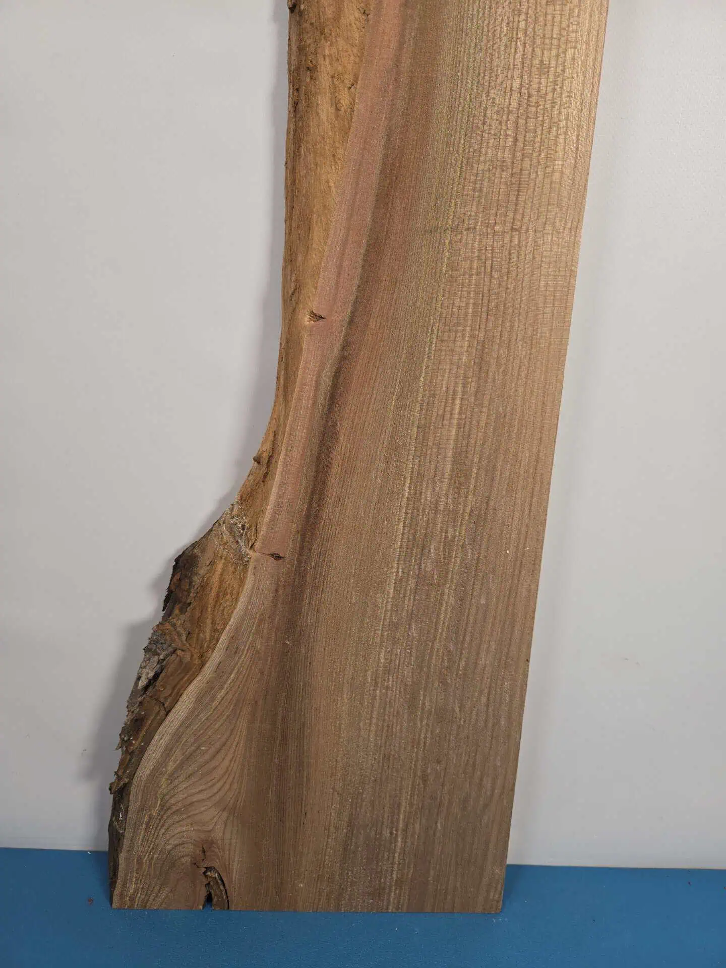 Burr edge Elm offcut - Image 4