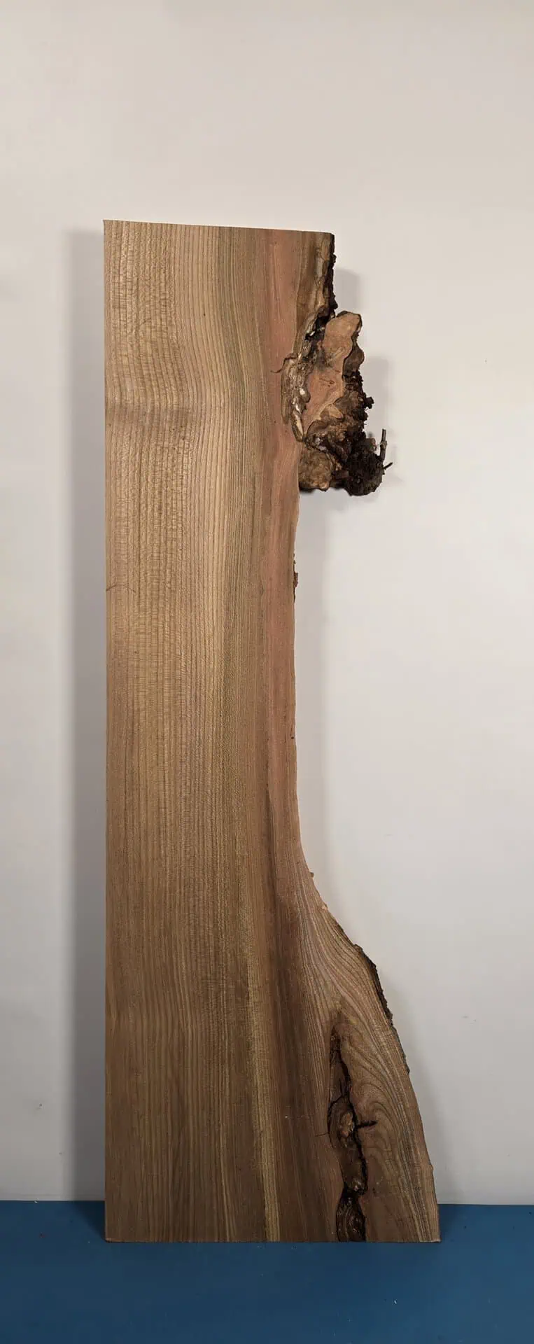 Burr edge Elm offcut - Image 6