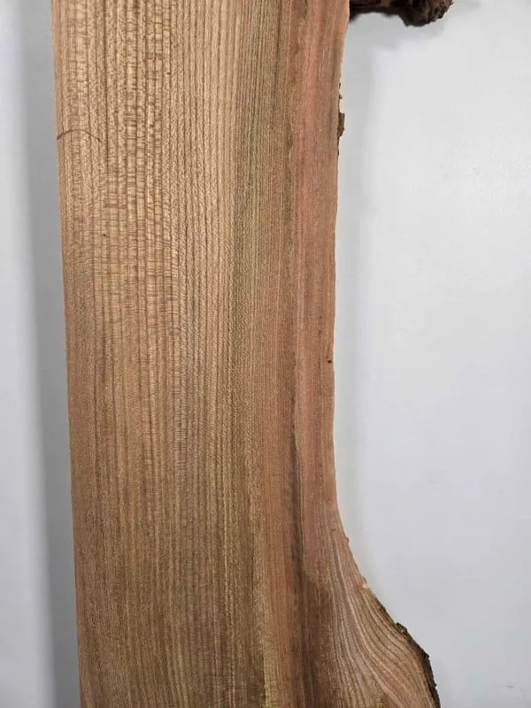 Burr edge Elm offcut