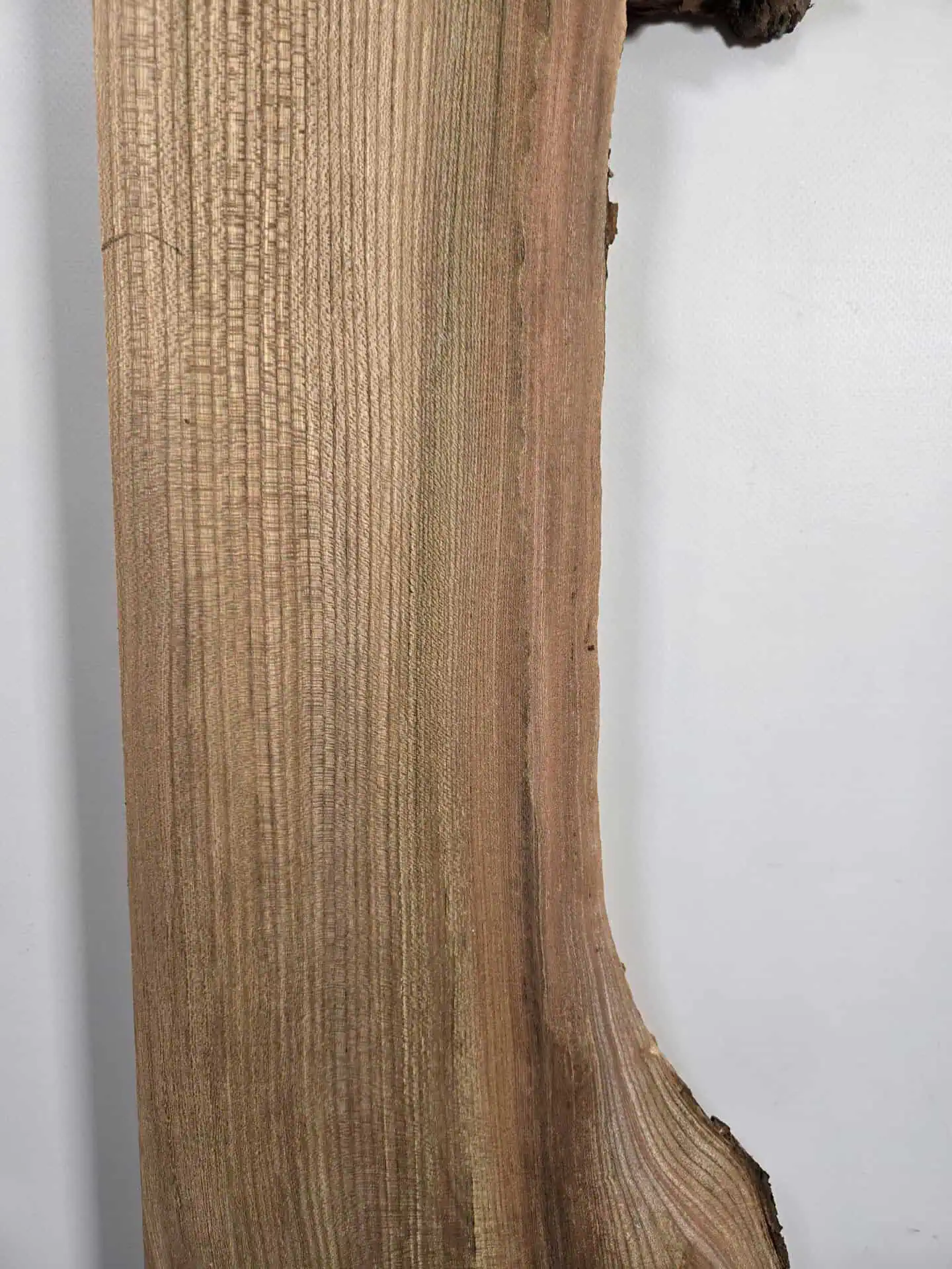 Burr edge Elm offcut - Image 8