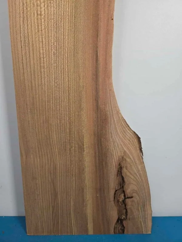 Burr edge Elm offcut