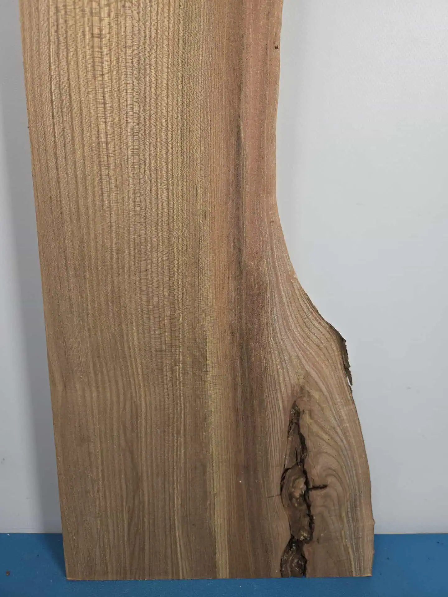 Burr edge Elm offcut - Image 9