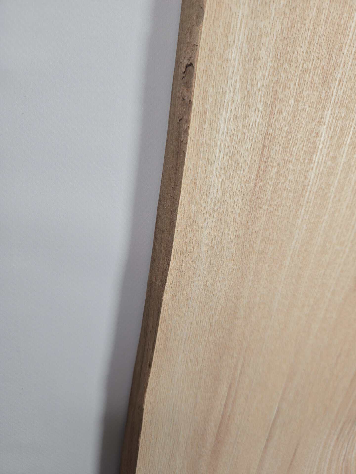 Waney edge Ash - Image 5