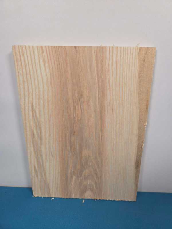 Small Ash Offcut