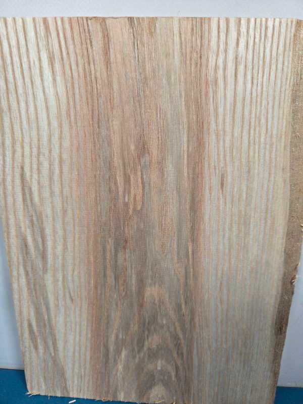 Small Ash Offcut