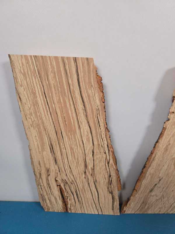 Small Spalted Beech Offcuts x2