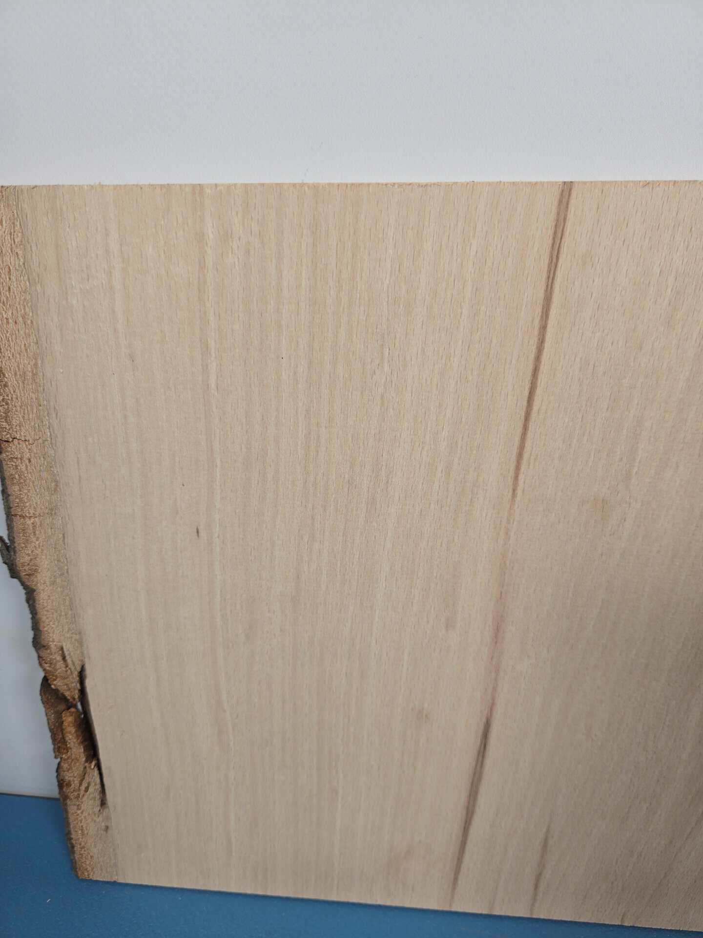 Single Beech Offcut - Image 2