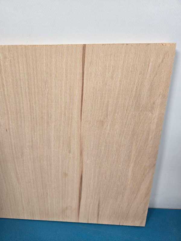 Single Beech Offcut