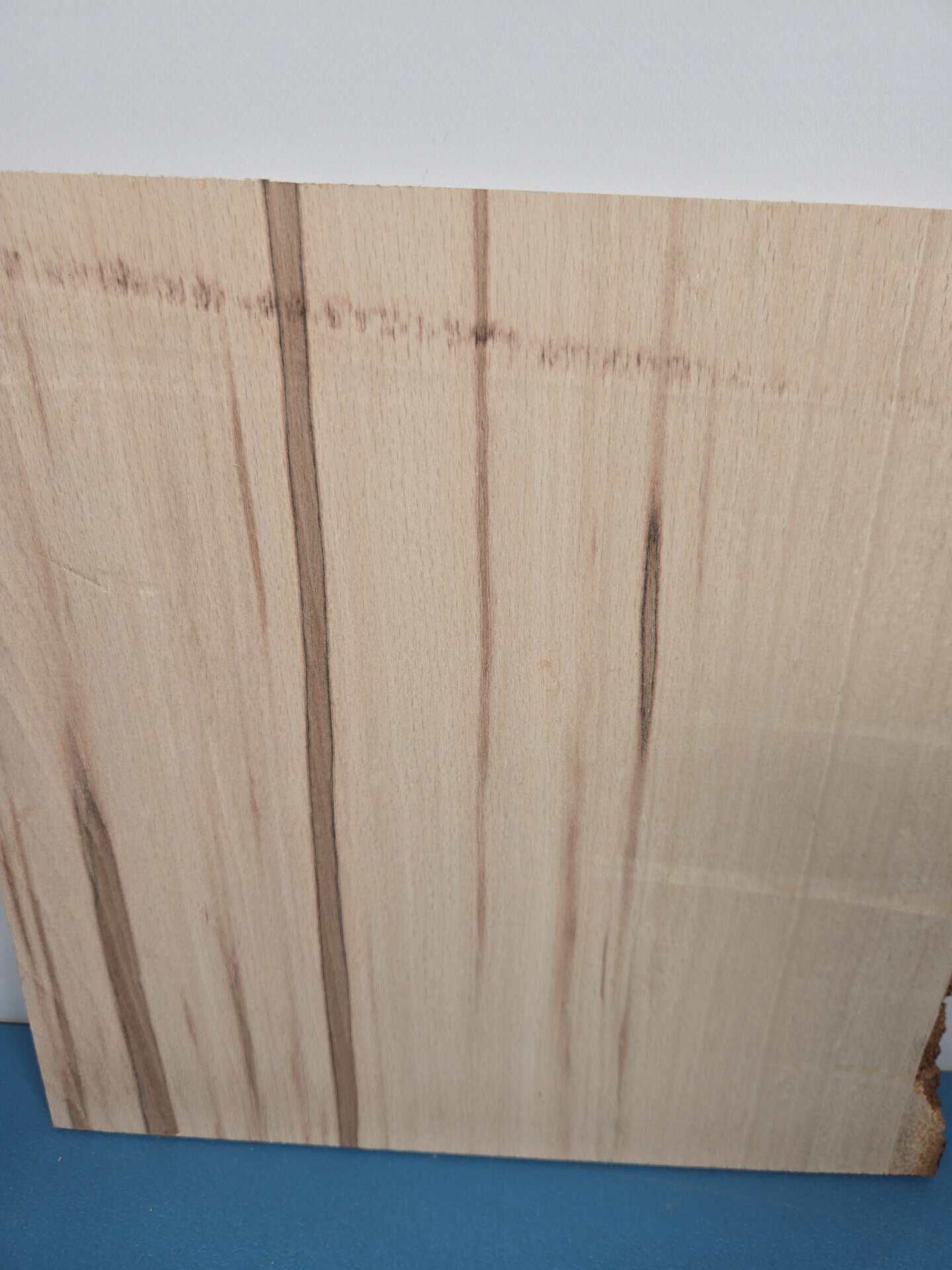 Single Beech Offcut - Image 5