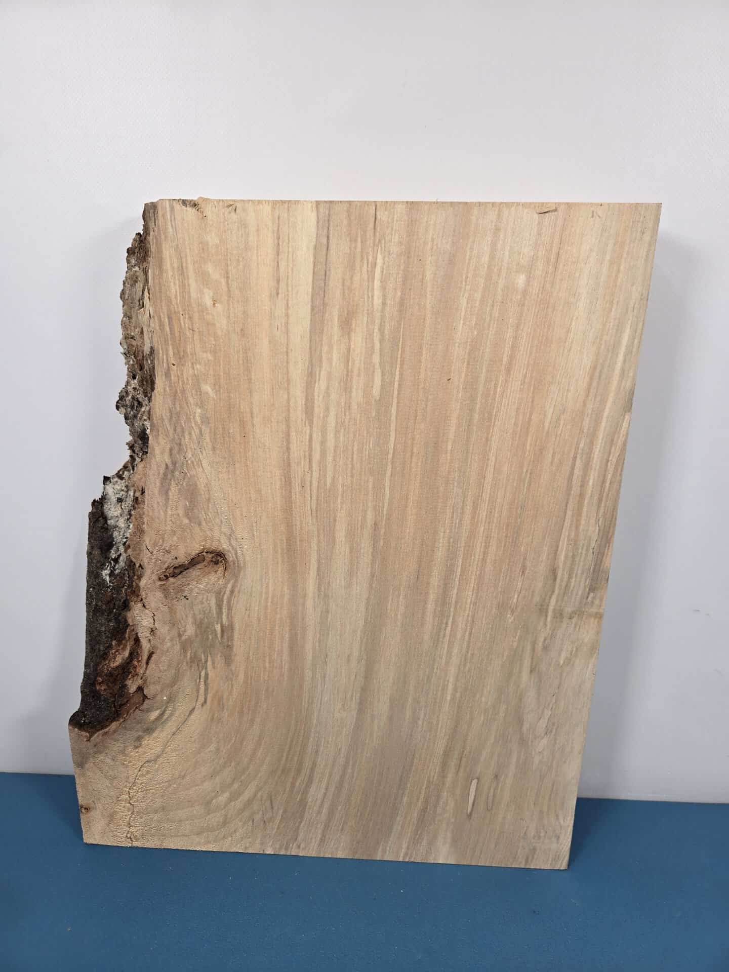Live edge Lime blank
