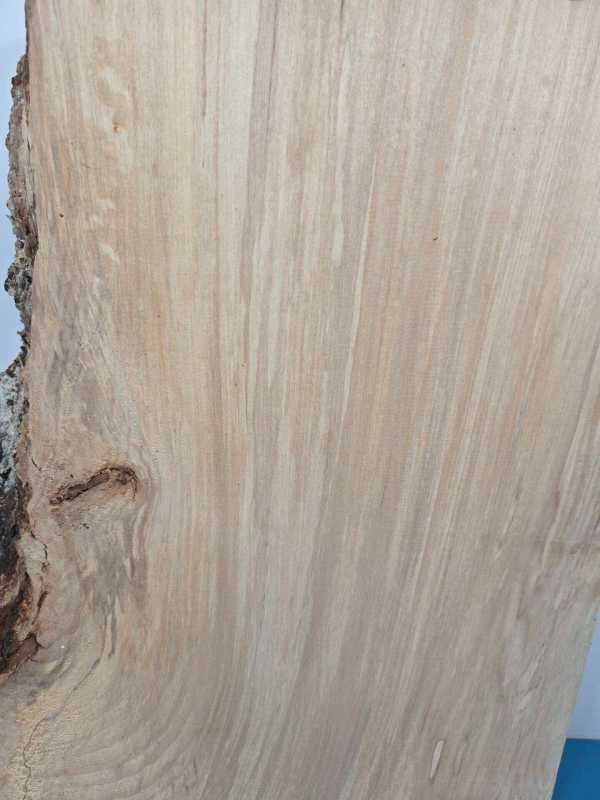 Live edge Lime blank