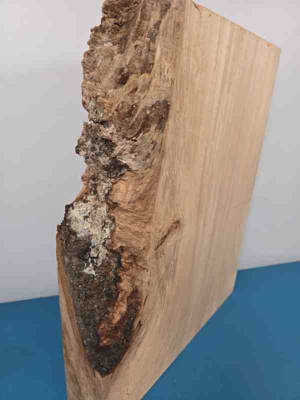 Live edge Lime blank