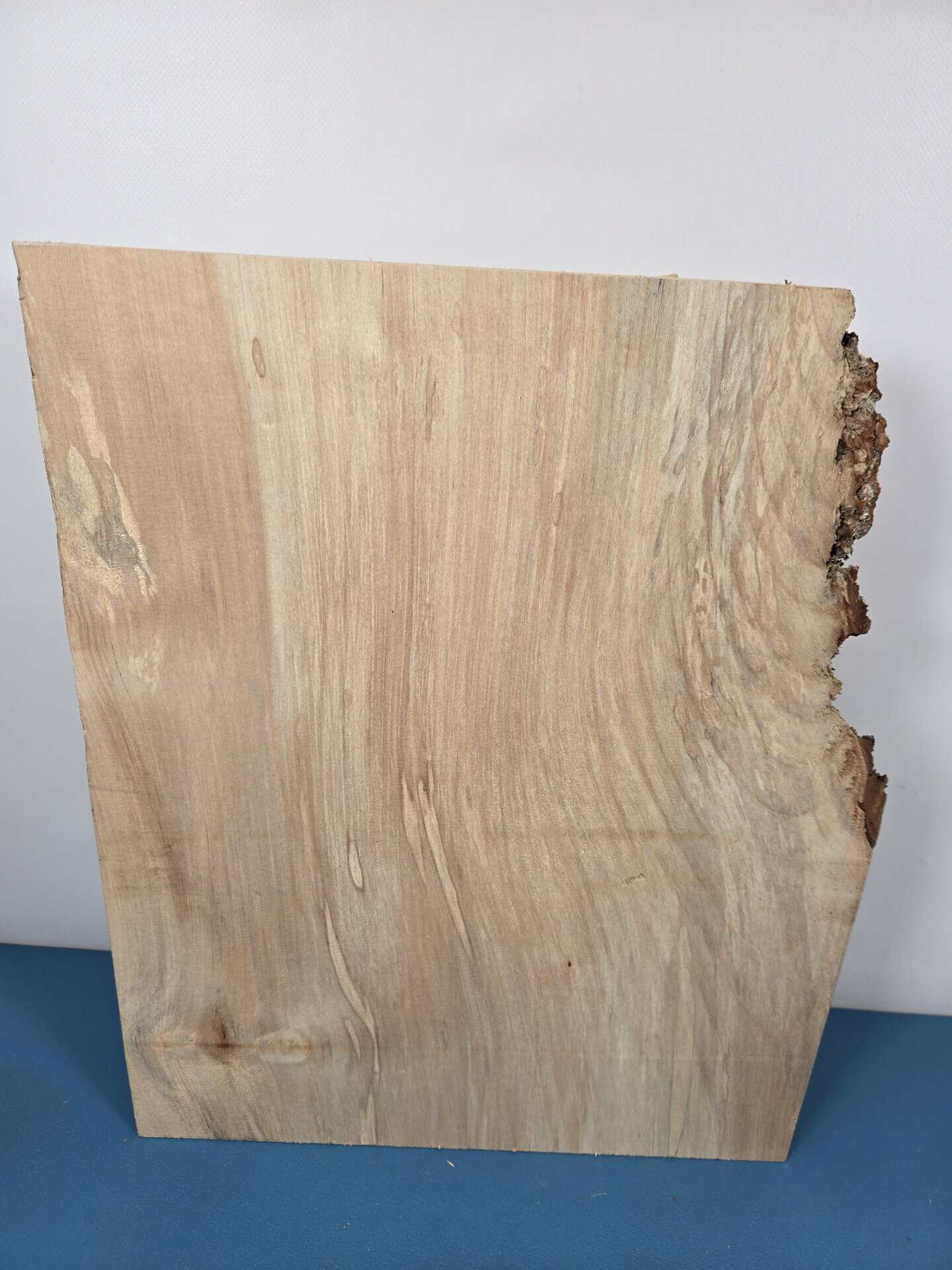 Live edge Lime blank - Image 5