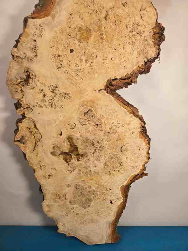 Stunning Burr Scottish Oak