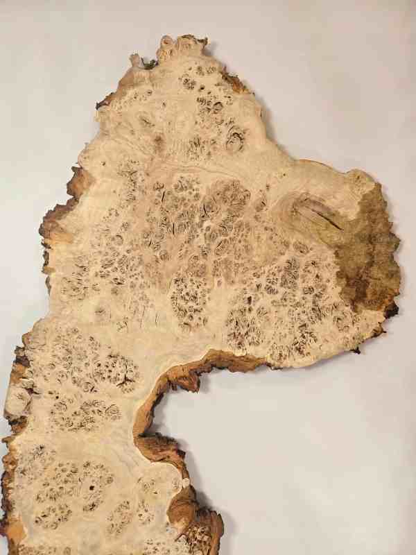 Stunning Burr Scottish Oak