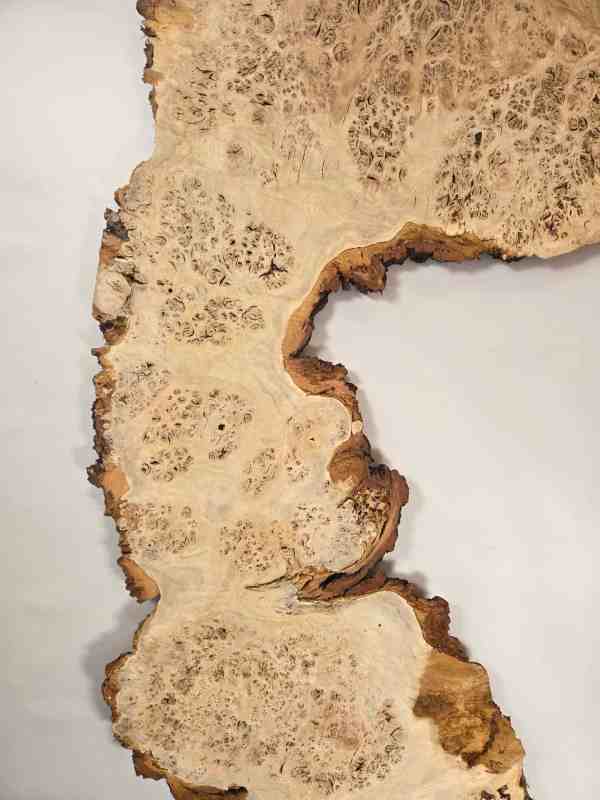 Stunning Burr Scottish Oak