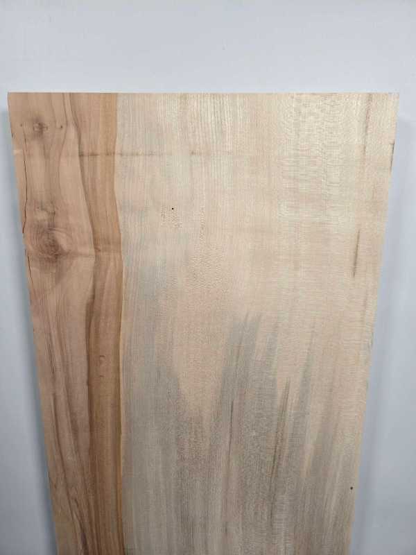 Straight edge Sycamore