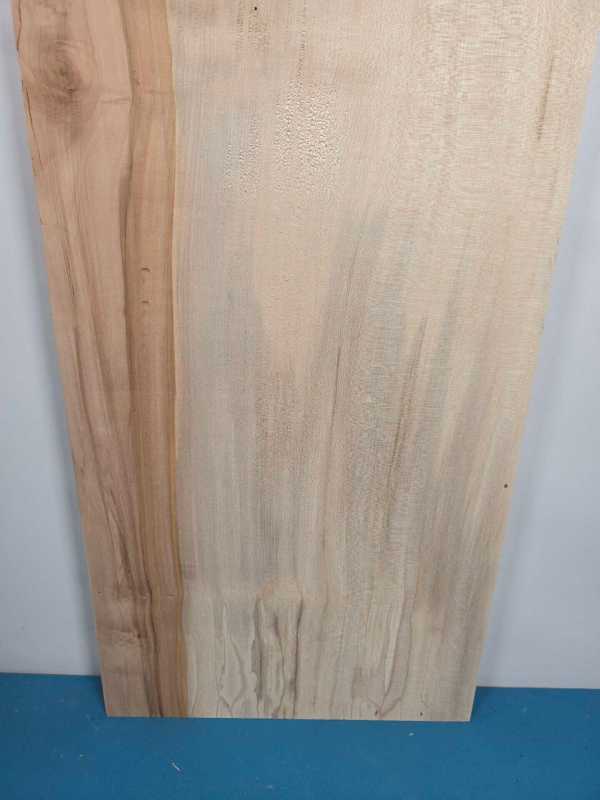 Straight edge Sycamore