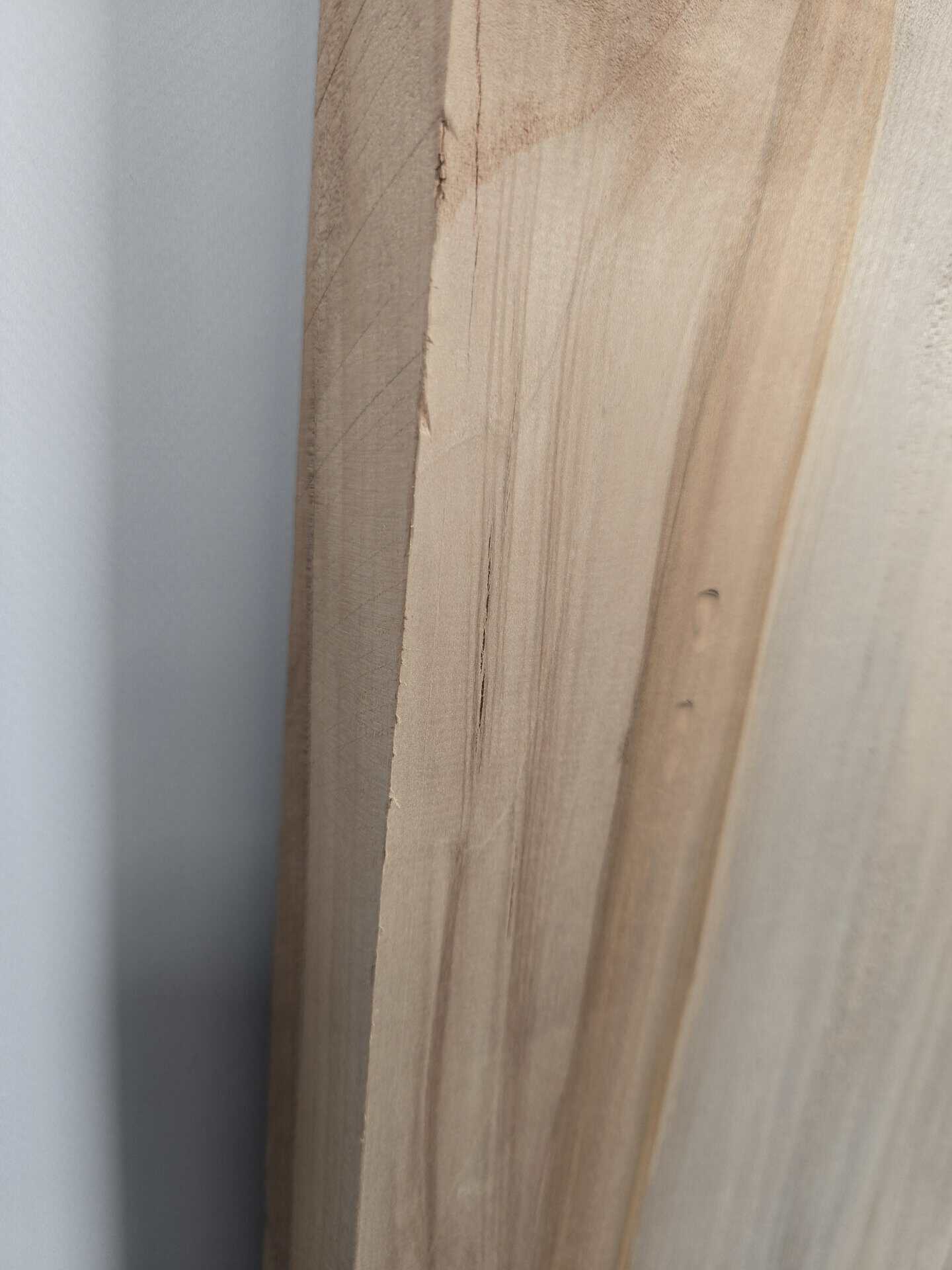 Straight edge Sycamore - Image 4