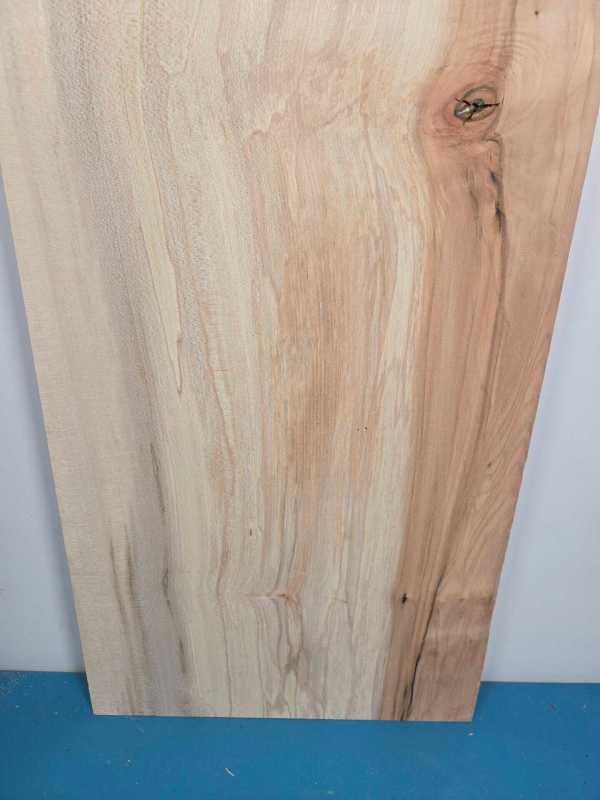Straight edge Sycamore