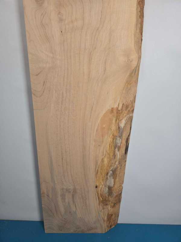 Waney edge Sycamore