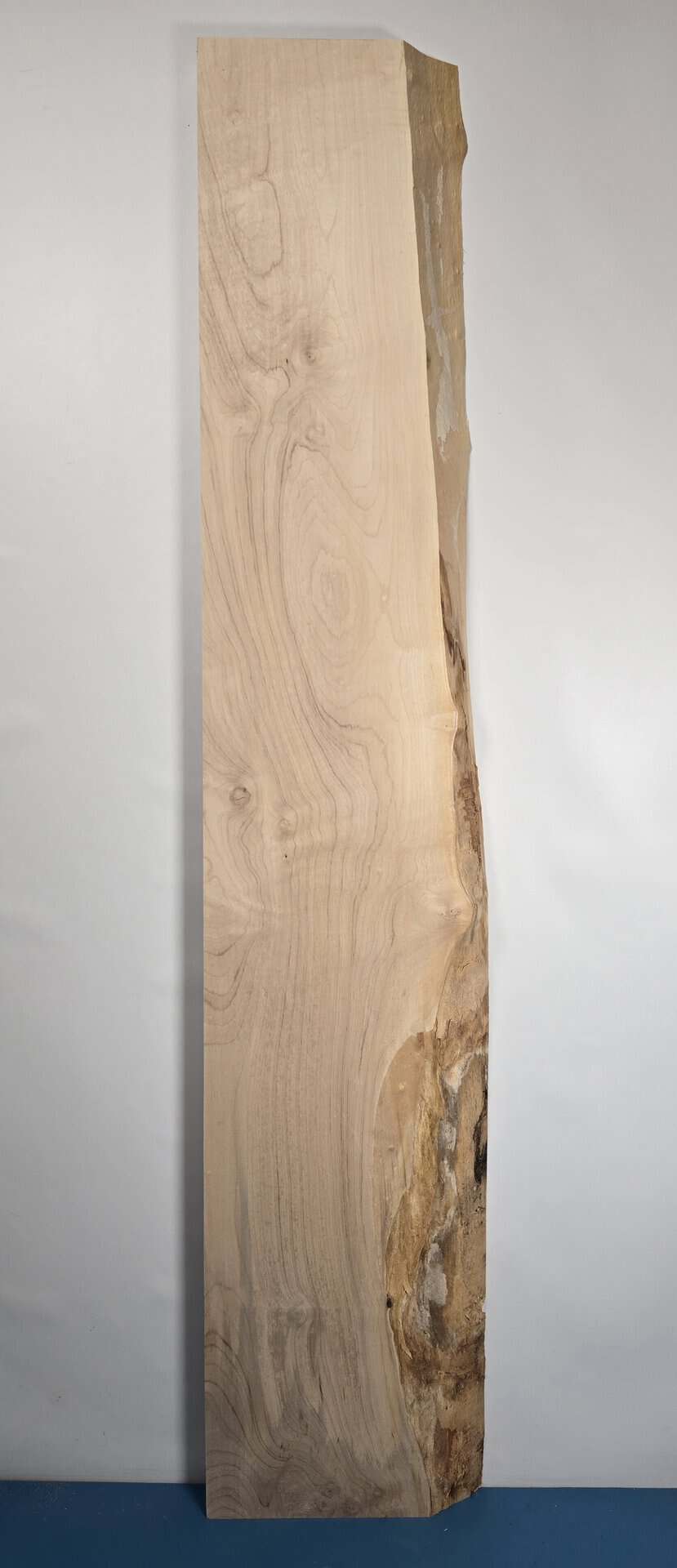 Waney edge Sycamore