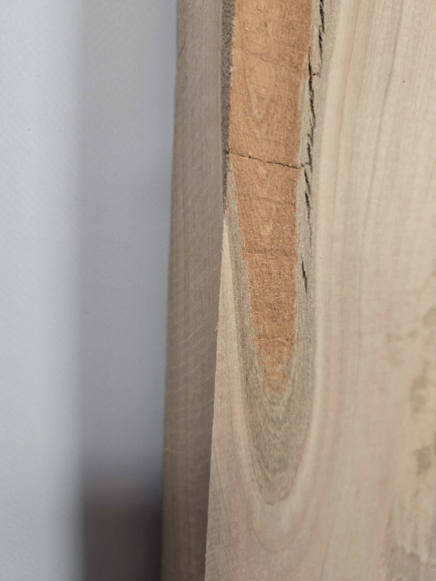 Straight edge Sycamore Offcut - Image 5