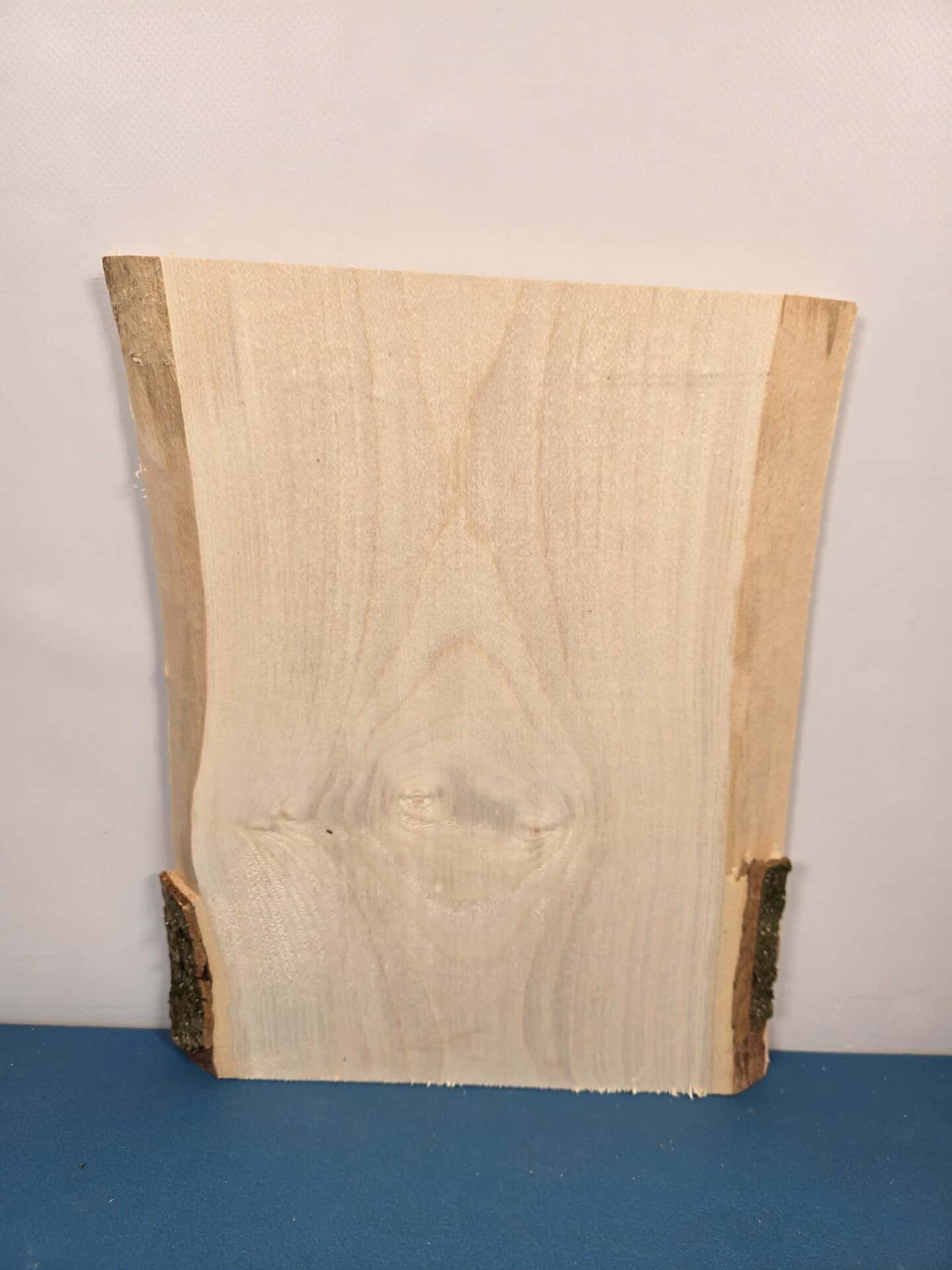 Live edge Sycamore offcut