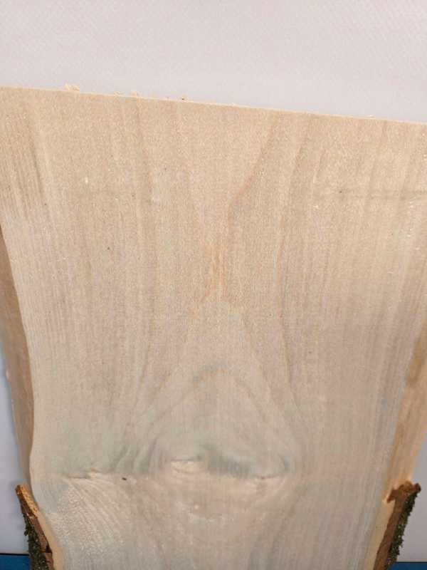 Live edge Sycamore offcut