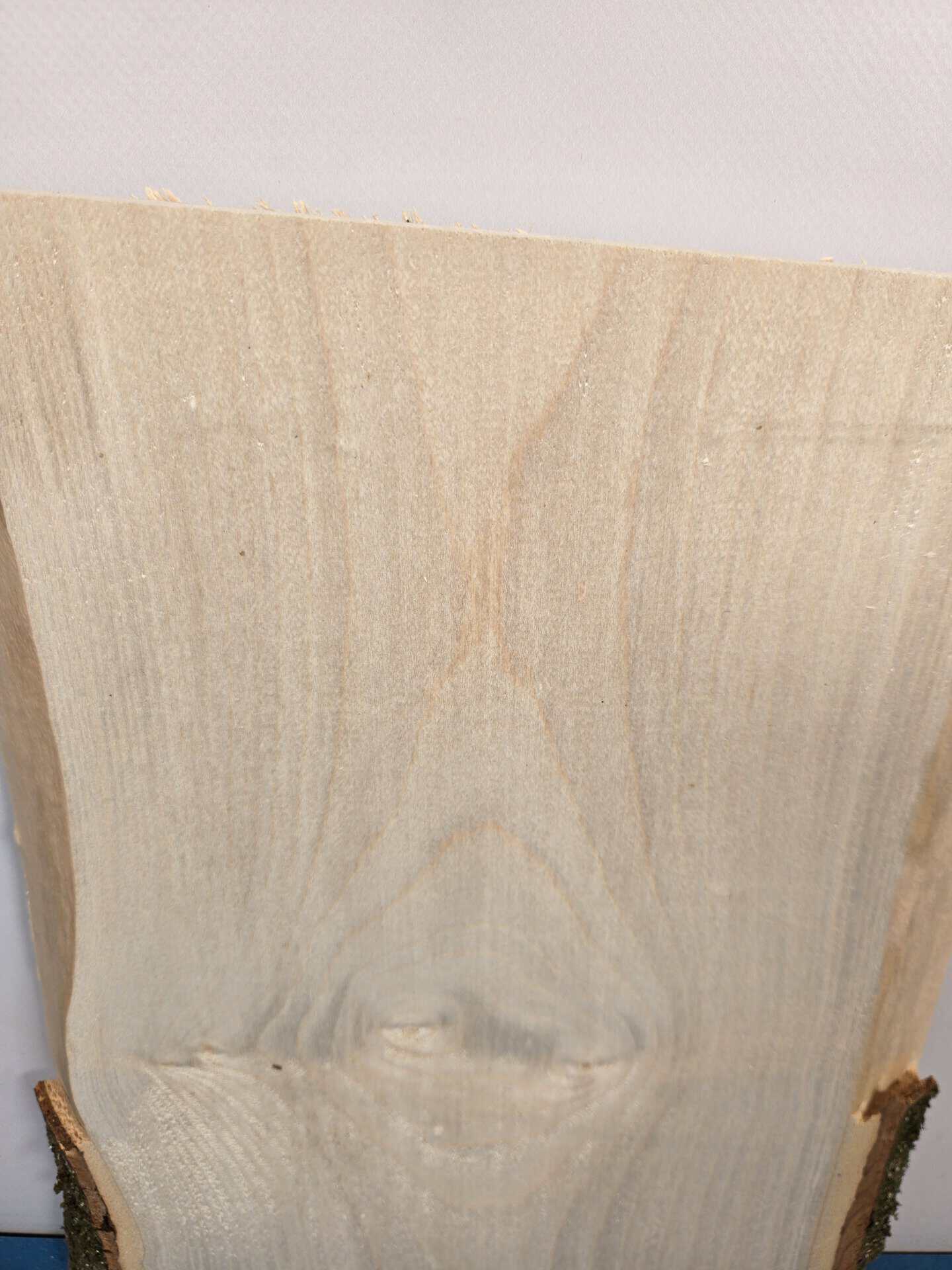 Live edge Sycamore offcut - Image 2